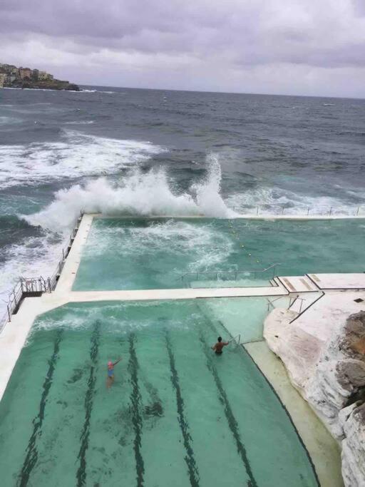 Bondi Beach Waves Beachfront Apartment Sydney Eksteriør bilde
